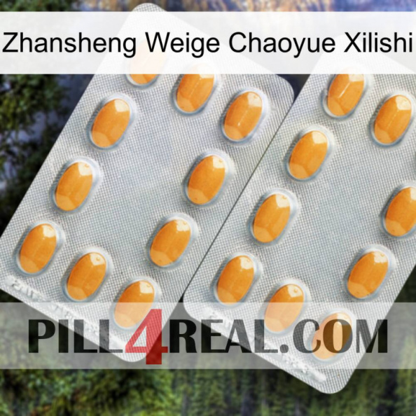 Zhansheng Weige Chaoyue Xilishi cialis4.jpg